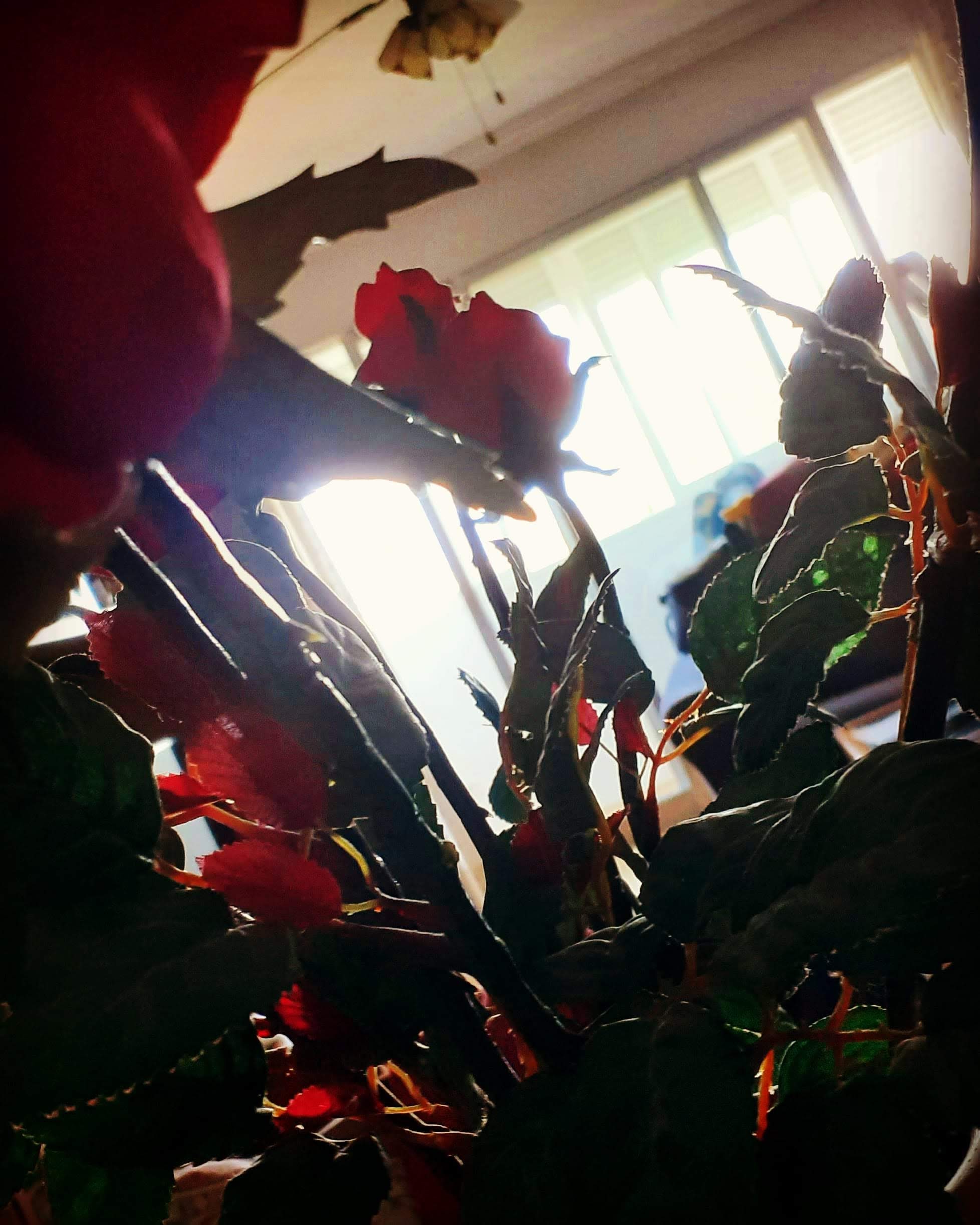 Buscando algo bueno del confinamiento (75)