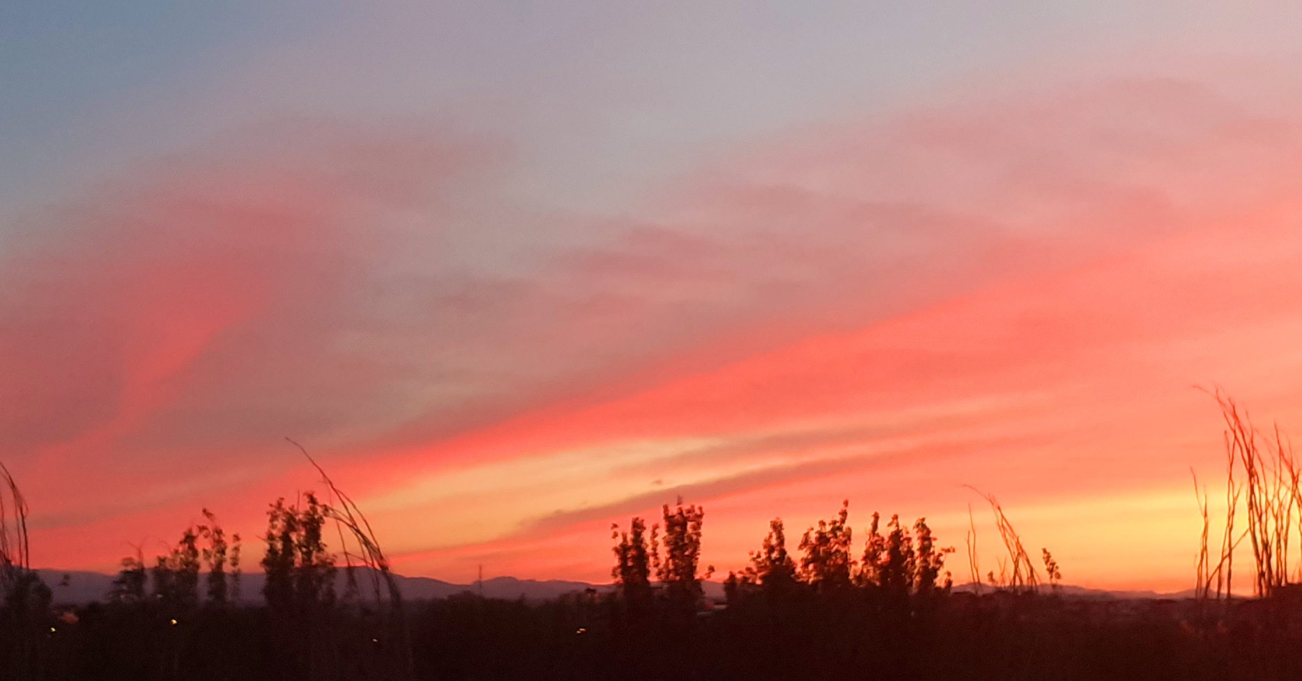 Buscando algo bueno del confinamiento (69)