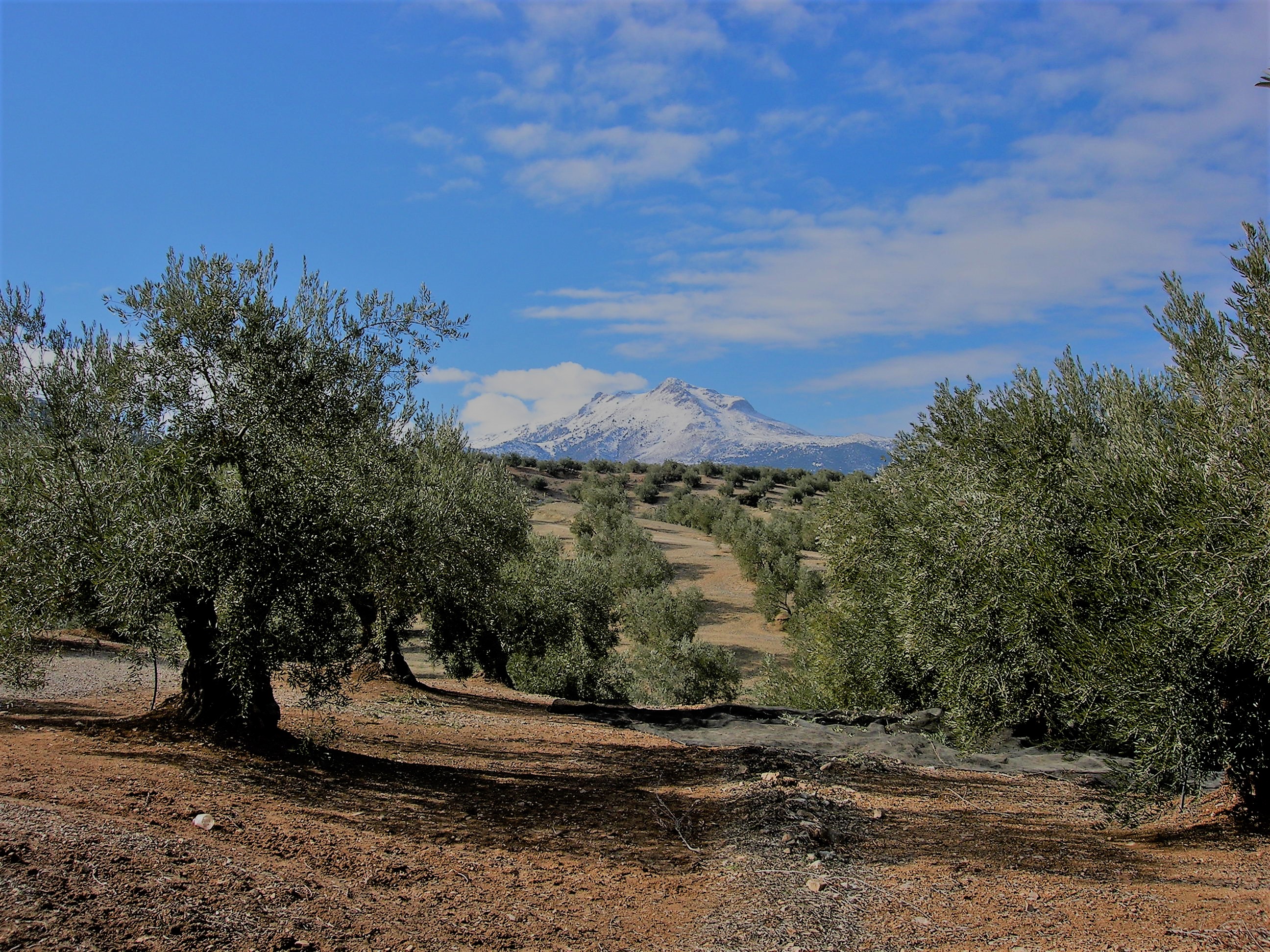 ¿Qué hay de nuevo, viejo? (47)