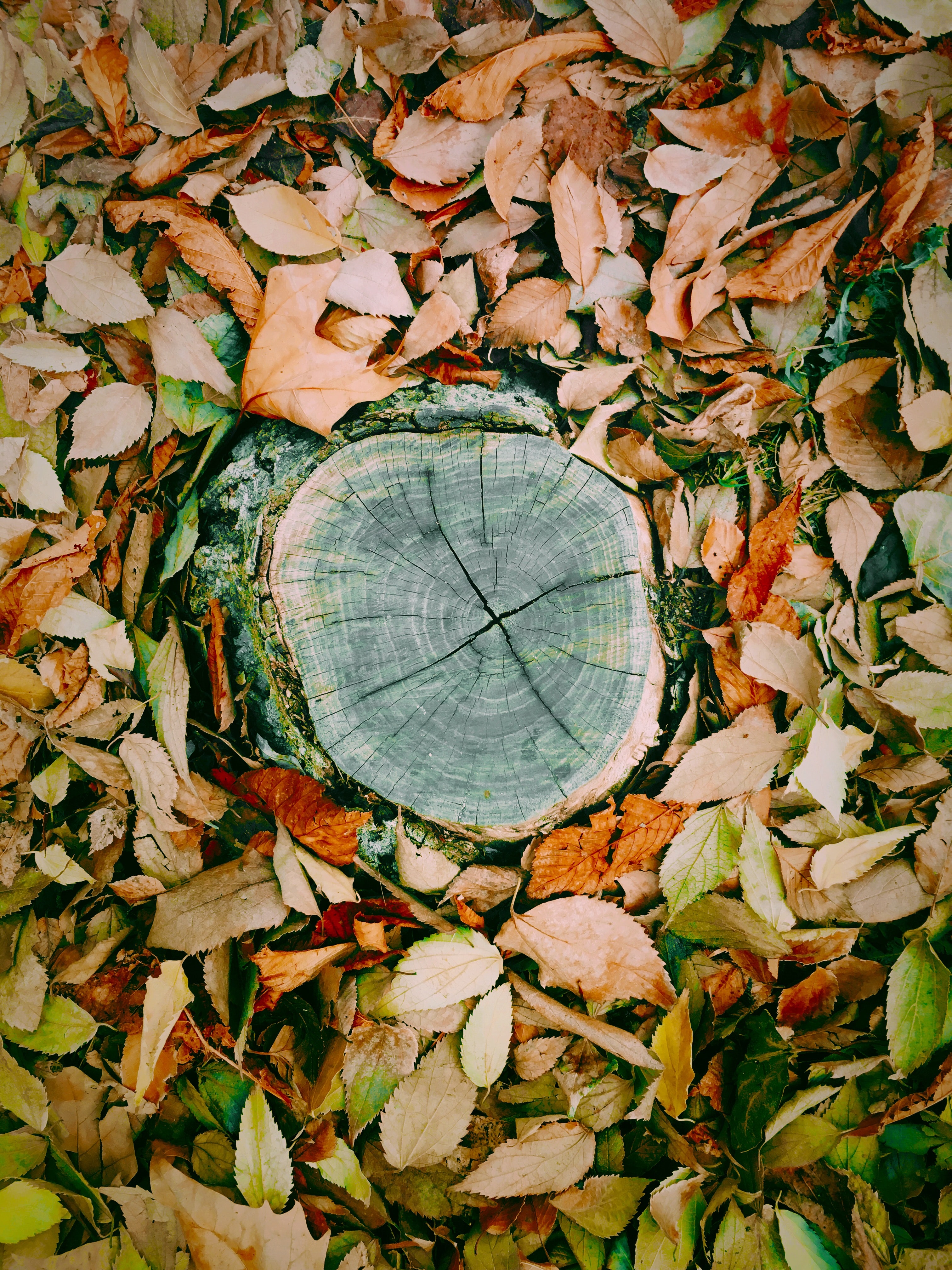 ¿Qué hay de nuevo, viejo? (77)