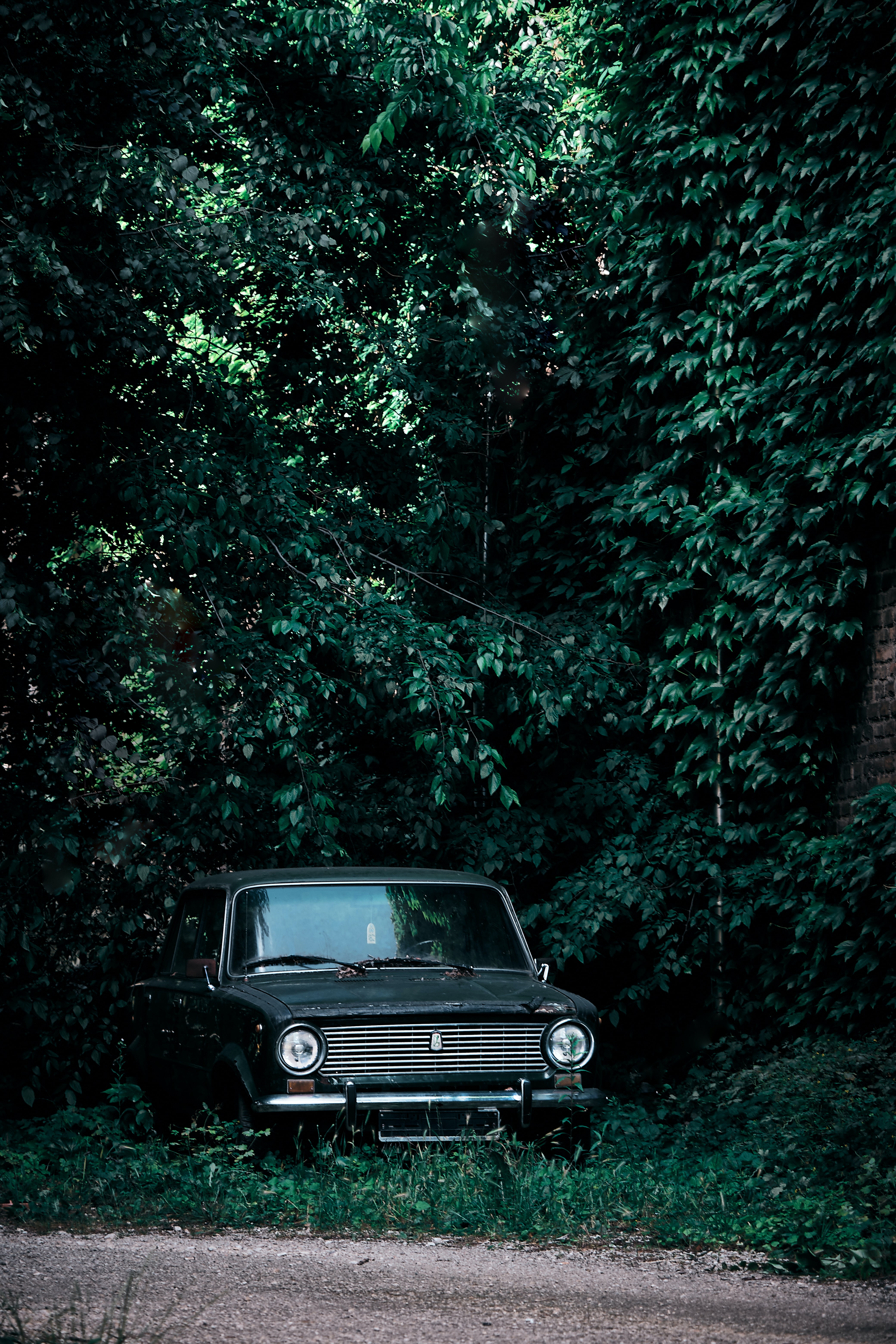 Temporada de patos—Temporada de conejos (56)