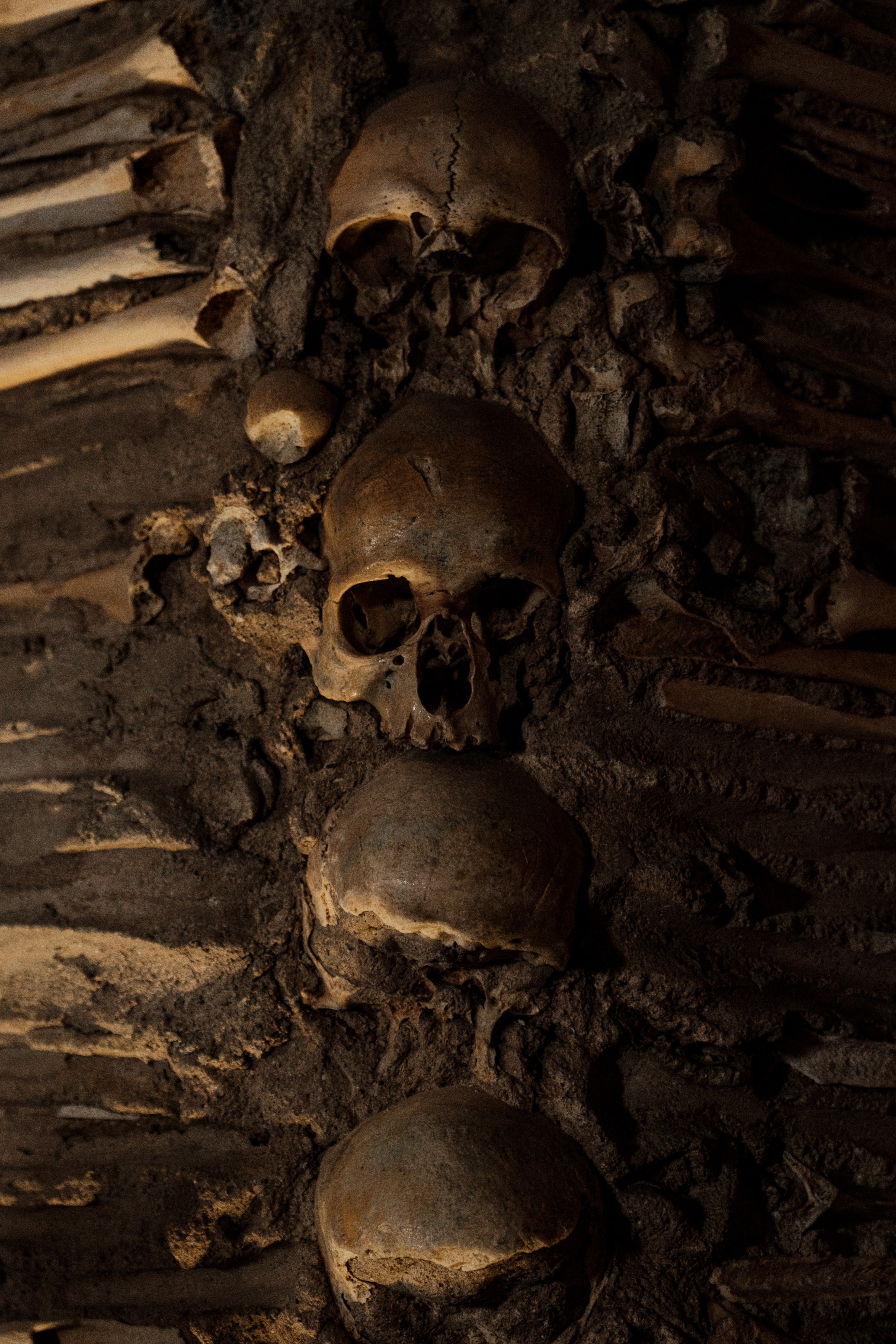 Temporada de patos—Temporada de conejos (57)