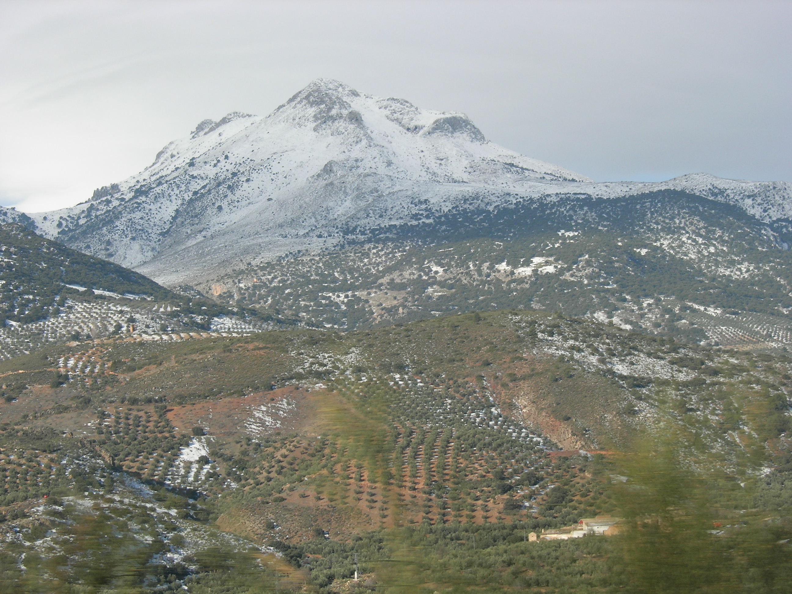 Intentos de poemas que tal vez queme (16)